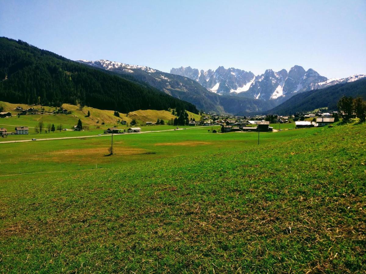 Pension Edelweiss Top 25 Gosau Exterior photo