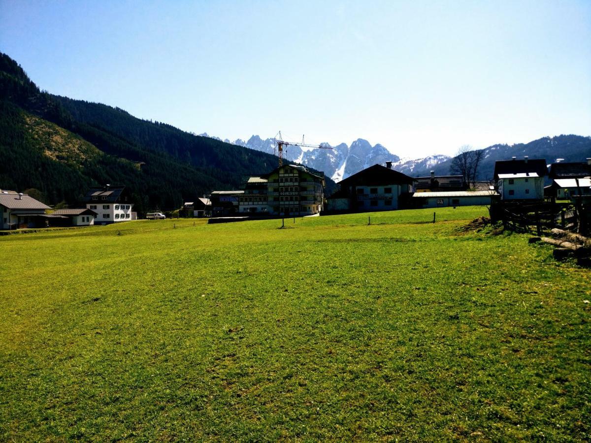 Pension Edelweiss Top 25 Gosau Exterior photo