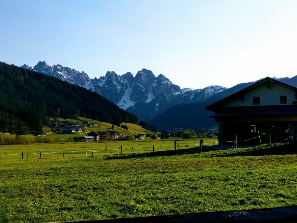 Pension Edelweiss Top 25 Gosau Exterior photo