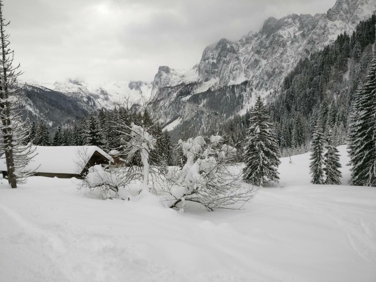 Pension Edelweiss Top 25 Gosau Exterior photo