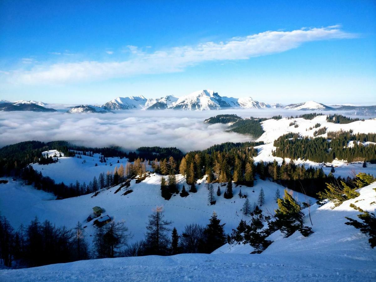 Pension Edelweiss Top 25 Gosau Exterior photo