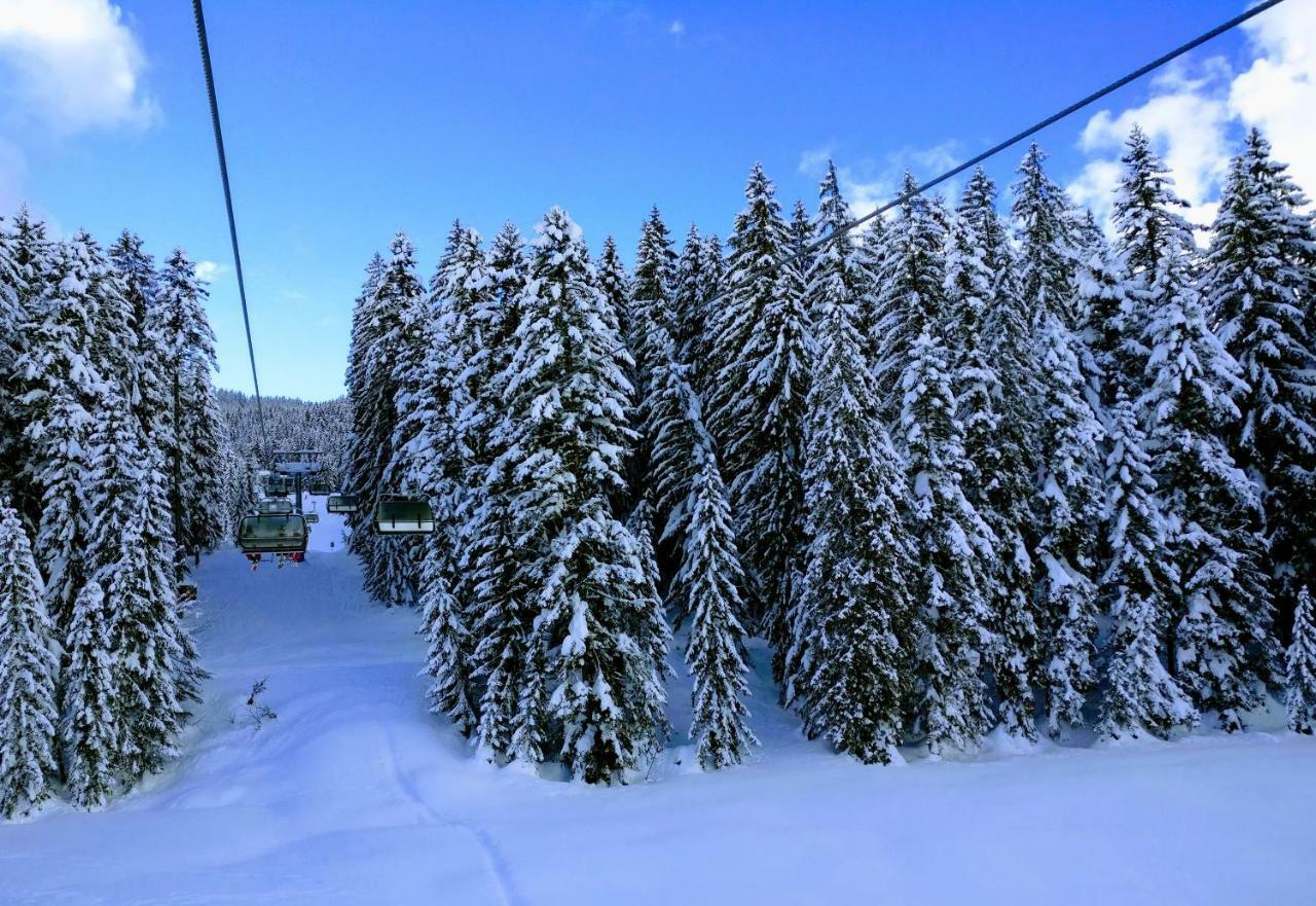 Pension Edelweiss Top 25 Gosau Exterior photo