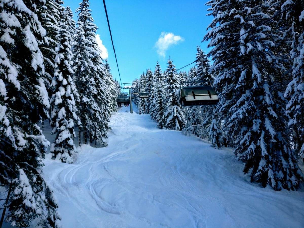 Pension Edelweiss Top 25 Gosau Exterior photo