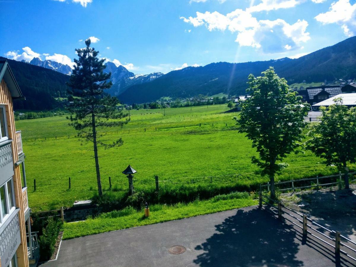 Pension Edelweiss Top 25 Gosau Exterior photo