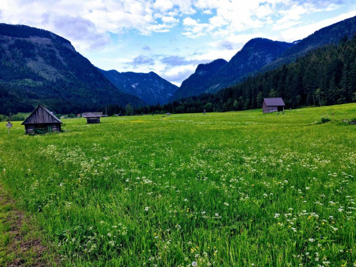 Pension Edelweiss Top 25 Gosau Exterior photo